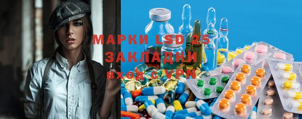 шишки Пересвет