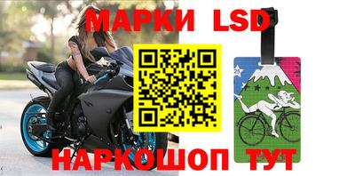 шишки Нарткала