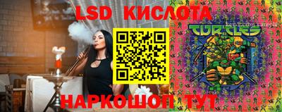шишки Нарткала