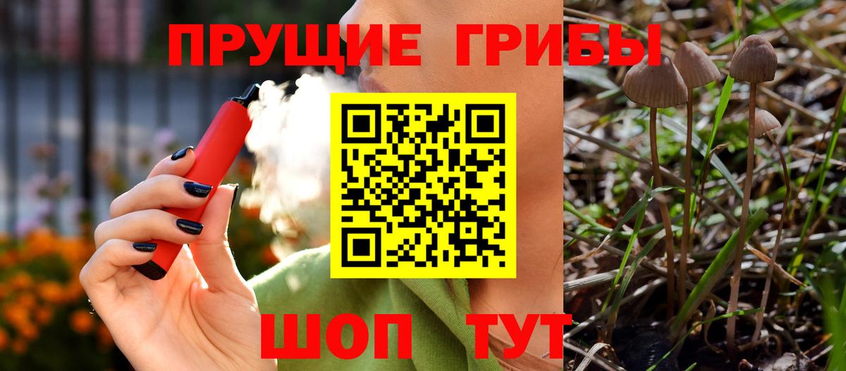 Псилоцибиновые грибы ЛСД  Псилоцибиновые грибы ЛСД  Вход с VPN  Серов 
