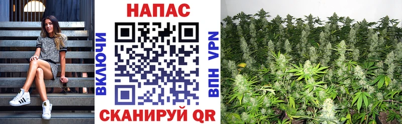 Шишки марихуана OG Kush  наркота  Серов 